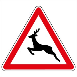 Panneau de danger - Passage d'animaux sauvages